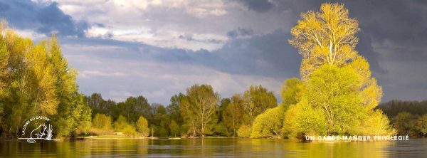 Loire des castors, JF Souchard