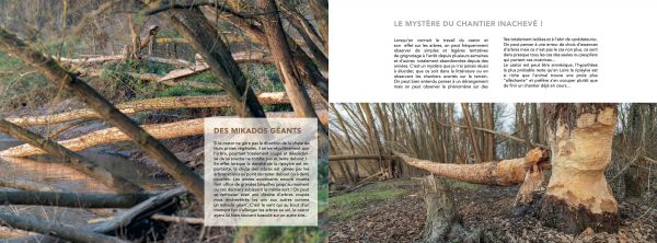 Loire des castors, JF Souchard