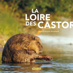 Loire des castors, JF Souchard