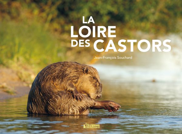 Loire des castors, JF Souchard