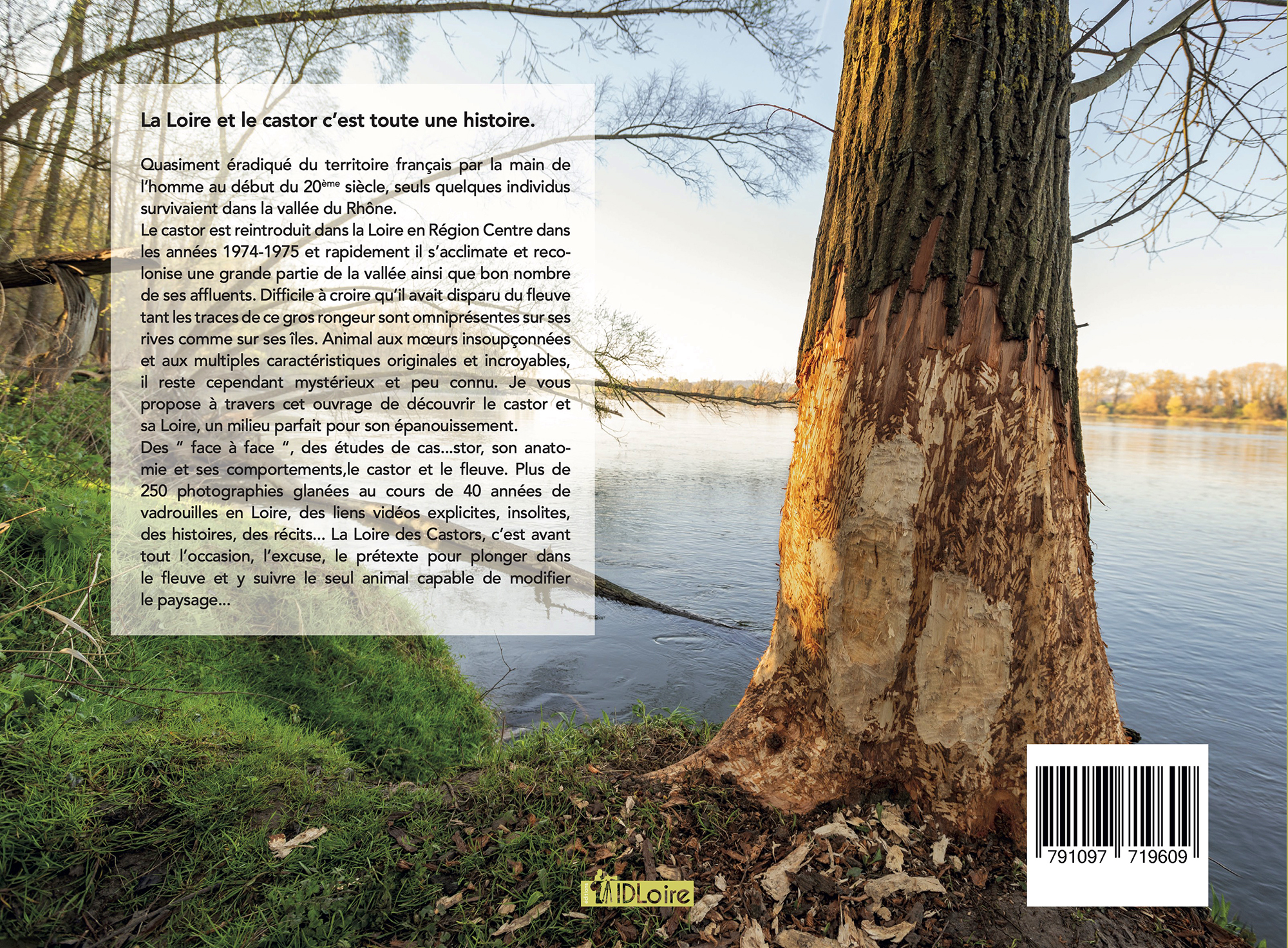 Loire des castors, JF Souchard