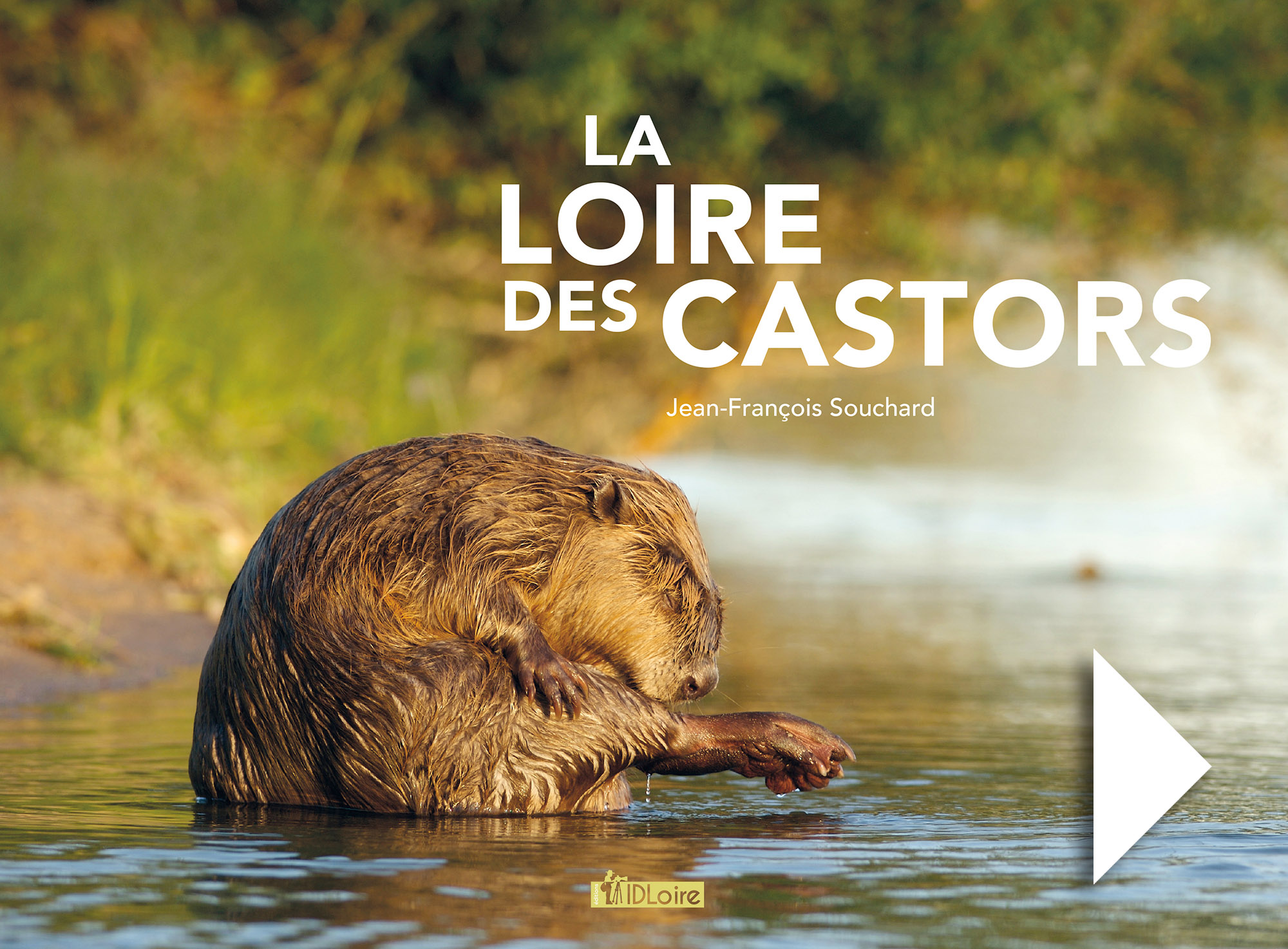 Loire des castors, JF Souchard